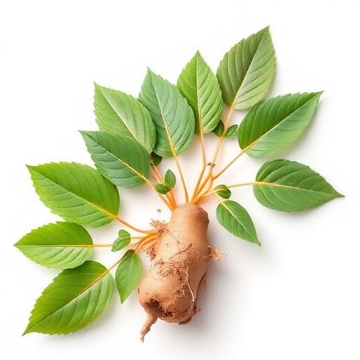 Ashwagandha